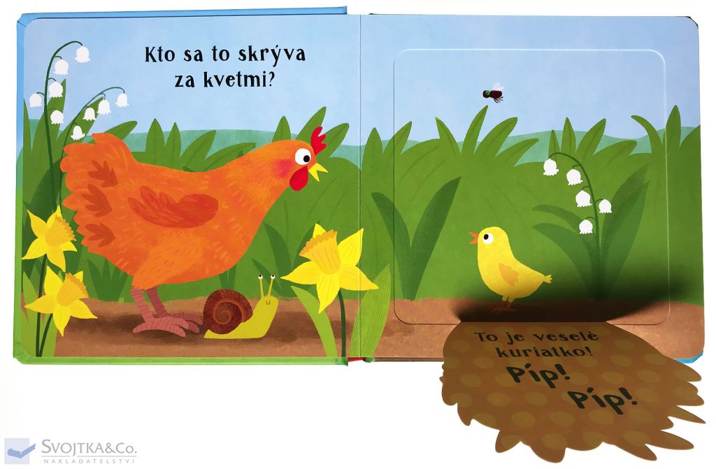 2164-5_vies-to-povedat-aj-ty-pip-pip