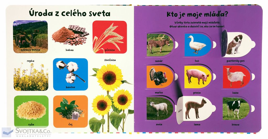 2635-6_pozri-sa-pod-okienko-farma-100-prvych-slov