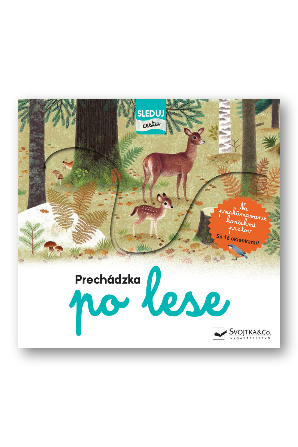 3996_36084-prechadzka-po-lese