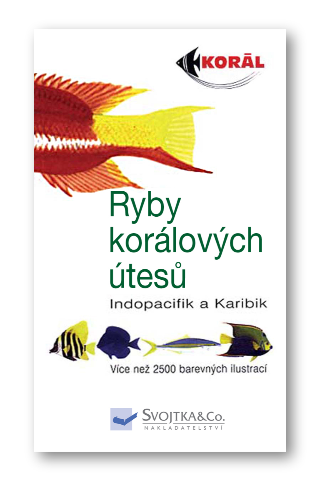 49_1469-koralove-ryby