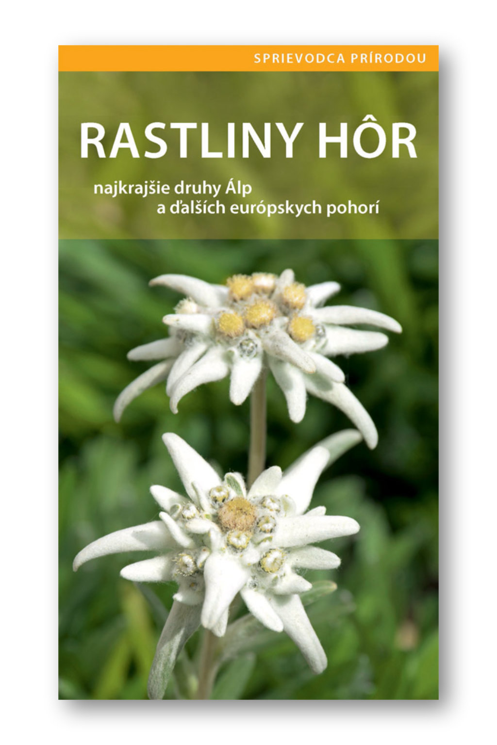634-3_rastliny-hor